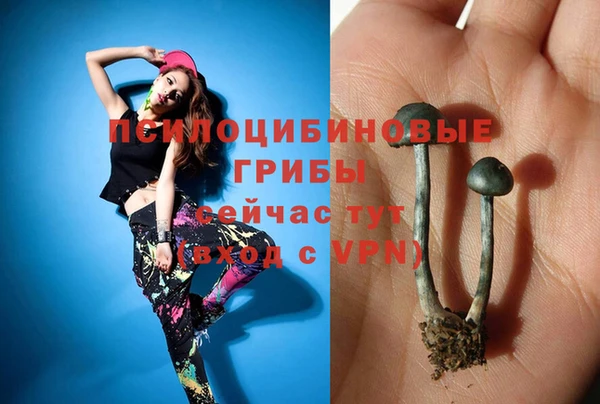 синтетический гашиш Белокуриха