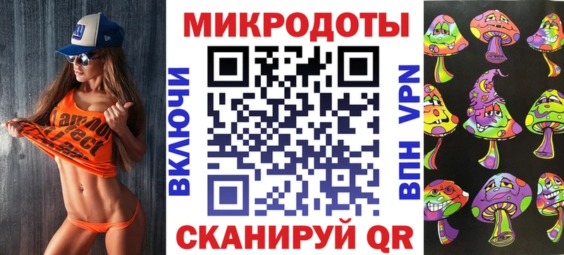 Псилоцибиновые грибы Psilocybe  Навашино 